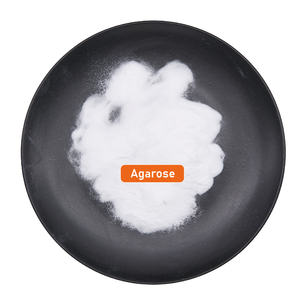 ผงเจล1.5% เจลอิเล็กโตรโฟรีซิสความบริสุทธิ์สูงสำหรับการแยก <span class=keywords><strong>dna</strong></span>/rna ต่ำ eeo 300G ใช้ในห้องปฏิบัติการผลิตภัณฑ์สารเคมีประจำวัน - Product Image 1