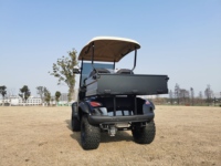 Voiturette de golf tout-terrain électrique, chariot utilitaire LSV, véhicule à faible vitesse, amortissement indépendant, buggy de golf pour ranch, ferme, logistique
