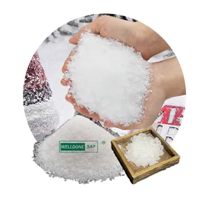 WELLDONE Polyacrylate de sodium poliacrilato de sodio poudre de neige polymère super absorbant à base de sodium pour neige artificielle