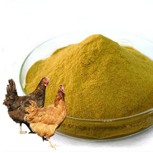 Alimentação animal Nutriente Natural A Granel cerveja animal gado aves domésticas animais animais cerveja fermento em pó - Product Image 2