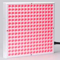 Lampe à lumière rouge portable Infrastar 45w pour soulager la douleur avec support 660m 850nm