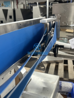 Ligne de machine de comptage, tri et emballage entièrement automatique YH pour sachets multiples de poudres, liquides et granulés en boîte/carton