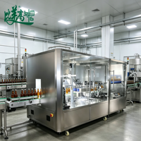 Peralatan Inspeksi Visual Botol Kemasan Makanan dengan Ejektor Cerdas Ganda untuk Penyortiran Multi Grade Seluruh Proses Produksi