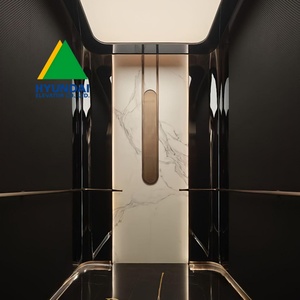 Ascensor Comercial Hyundai de Gran Volumen de Carga, de Acero Inoxidable, para Edificios y Oficinas, con Pasamanos para Personas con Discapacidad - Product Image 2