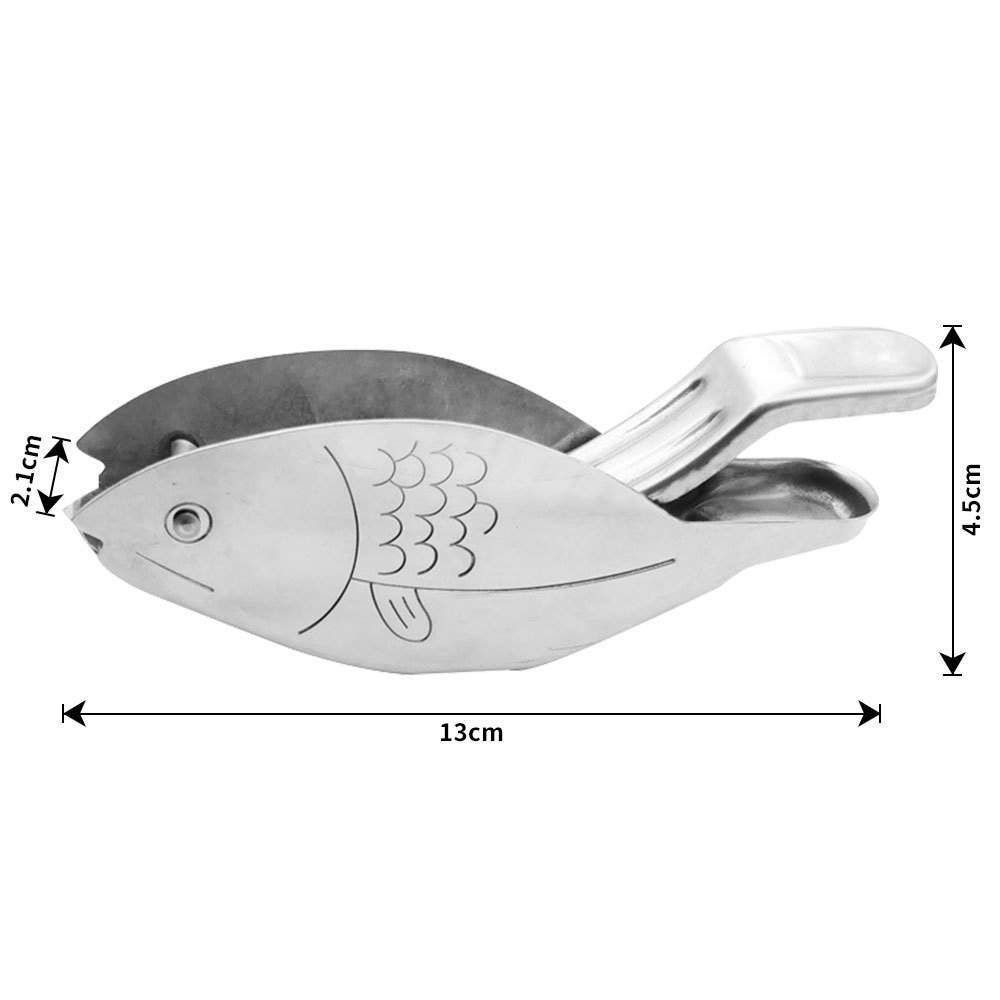 fish