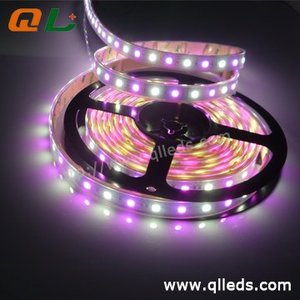 Il vecchio tipo RGB + W ha condotto la luce della striscia 60Led/m DC 12V/24V 14.4 W/m le perle della lampada separata 30LED RGB + 30LED bianco di fabbrica vende direttamente - Product Image 4