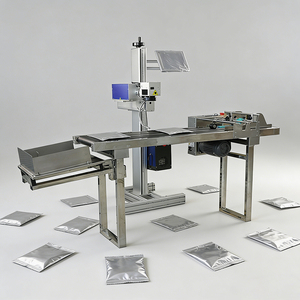 Macchina per Incisione Laser Compatta per Sacchetti di Plastica/Cartoni, con Sistema di Paginazione Automatica e Marcatura UV per Data di Produzione/Testo/Logo/Informazioni Dettagliate - Product Image 3