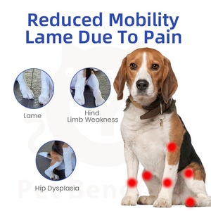 Comprimés de soutien articulaire <span class=keywords><strong>pour</strong></span> chiens et chats, supplément de glucosamine, flexibilité des articulations, santé du cartilage - Product Image 4