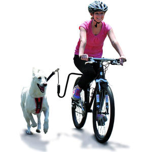 Outil de marcheur de chien de vélo en plein air avec motif solide en métal et rubans pour l'entraînement des chiens - Product Image 5