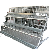 Nouvelle batterie d'élevage avicole automatique en acier galvanisé pour 120, 128 ou 160 poules pondeuses