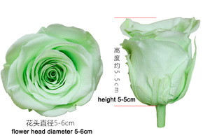 <span class=keywords><strong>Naturale</strong></span> nuovo arrivo grossista eterna <span class=keywords><strong>rosa</strong></span> cina all'ingrosso <span class=keywords><strong>blu</strong></span> - Product Image 4