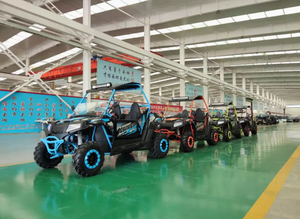 รถอเนกประสงค์สำหรับผู้ใหญ่ UTV รุ่นใหม่สมรรถนะสูง 250 ซีซี  แบบ 2 ที่นั่ง  วัสดุพลาสติก  สำหรับขับขี่บนถนนและทุกสภาพพื้นผิว  รับประกัน 3 ปี  OEM DIY - Product Image 5