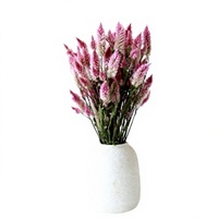 Bouquet de fleurs séchées naturelles Phoenix, feuilles, style Instagram, pour la fête des mères, Pâques, accessoires de photographie pour fenêtre, décoration intérieure