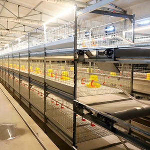 Jaula para <span class=keywords><strong>Pollos</strong></span> Tipo H, Sistema Automático <span class=keywords><strong>de</strong></span> Plataforma Plana Resistente para la Prevención <span class=keywords><strong>de</strong></span> Lesiones, Acero Galvanizado en Caliente, Bajo Mantenimiento - Product Image 1