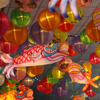 Lanternes de poisson artisanales d'extérieur et d'intérieur, décoration traditionnelle chinoise pour les festivals, arche de porte pour les restaurants et les parcs