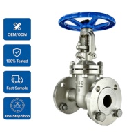 Vanne à opercule à double bride à joint rigide en acier inoxydable CF8 DN150 PN16 pour le service pétrole et gaz