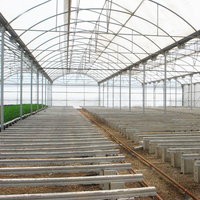 Serre en plastique à tunnel à simple portée pour la culture des fraises, agriculture