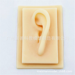 Modèle d'oreille en silicone, modèle d'oreille souple en TPR, moule d'oreille humaine réaliste, accessoire de démonstration pour aide auditive (oreille gauche) - Product Image 4