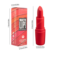 Gros Cosmétique Rouge À Lèvres Mat Bullet Laque Tube Spécial Étanche Brillant À Lèvres rouge à lèvres mat 24 heures