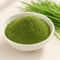 Poudre d'herbe d'orge pure naturelle OEM, riche en fibres alimentaires, vitamines, minéraux, chlorophylle, enzymes et antioxydants, boisson quotidienne