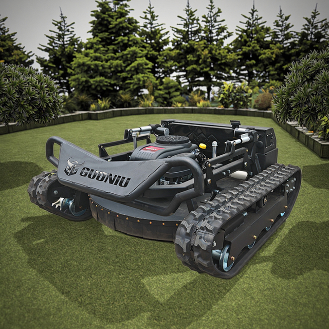 Gasoline Lawn Mower and Robotic Lawn Mower for Agriculture Chinese Garden Lawn Robot