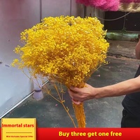 Bouquet de gypsophile de fleurs éternelles, vente en gros, fleurs séchées pour la décoration, cadeau de Noël, de Pâques, de la Saint-Valentin, scène