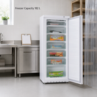 Congélateur vertical commercial pour aliments surgelés, 182 L, porte simple, 7 tiroirs, dégivrage manuel, refroidissement R134a R600a