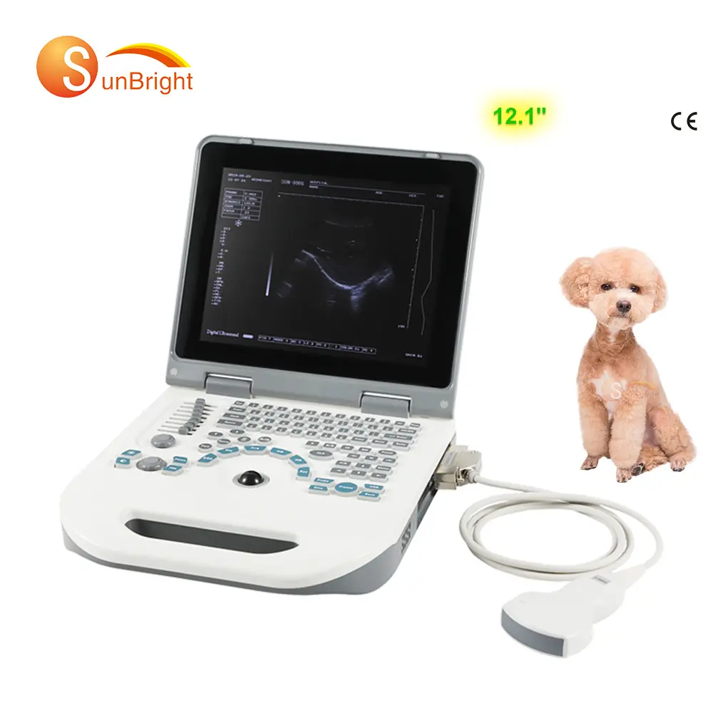 Appareil à ultrasons médical vétérinaire Portable Machine à ultrasons numérique complète pour chien chat mouton vache cochon