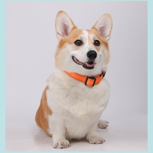 Nouveau style de colliers de <span class=keywords><strong>chien</strong></span> réglables, résistants aux fuites et réfléchissants <span class=keywords><strong>anti</strong></span>-perte avec option de gravure, parfaits pour les laisses d'animaux de compagnie! - Product Image 1