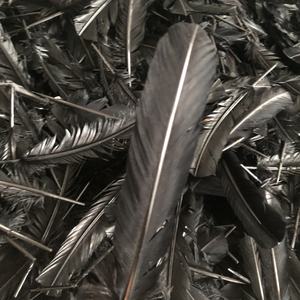 Plumes de dinde noire pour enfants artisanat bricolage chapeau créatif cheveux Costume accessoire carnaval fête mariage décor à la maison - Product Image 2