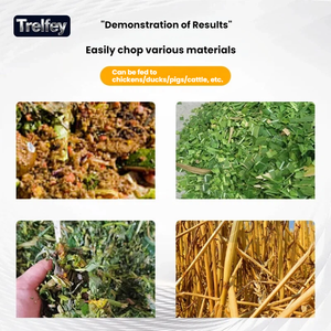Trituradora de Paja TRF al Mejor Precio, Potente Motor de 2.2-15KW, Ideal para Granjas Avícolas, Reciclaje Ecológico de Residuos - Product Image 3