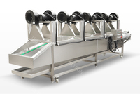 Industriële machines voor het reinigen, drogen en verwerken van verse groenten en fruit, inclusief wasmachine voor gedroogde dadels, te koop.