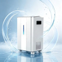 Machine respiratoire à hydrogène et oxygène PEM stable de 1500 ml/min, pureté élevée 99,992 %, fabrication en usine propre, OEM ODM, vente en gros pour les soins de santé