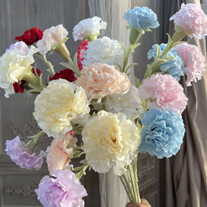 2024 đám cưới mới nhà trang trí hoa lụa trắng hồng cẩm chướng hoa nhân tạo - Product Image 2