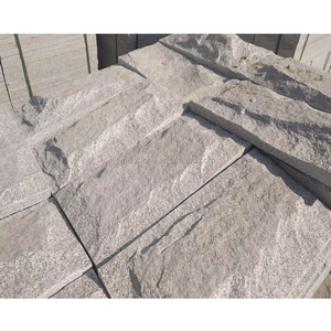 壁建設材料白と灰色花崗岩g603庭石キノコ表面