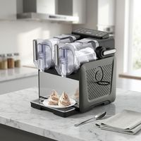 Machine à Granita de Comptoir Personnalisable, Silencieuse, à Refroidissement Rapide par Compresseur, avec Fenêtre Visible, à Réservoir Unique, pour Usage Domestique et Professionnel