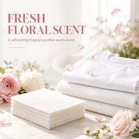 Feuilles de lavage biodégradables, produits de nettoyage pour la lessive, feuilles de lessive écologiques à faible mousse