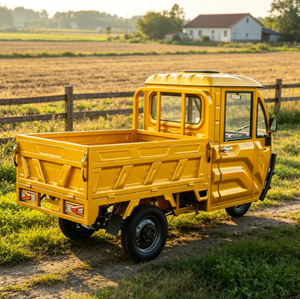 Nuovo Arrivo: Triciclo Elettrico a Bassa Velocità con Batteria, Omologazione EEC COC L2e per Trasporto Merci, Dotato di Batteria 72V 58AH, Modello UE - Product Image 6