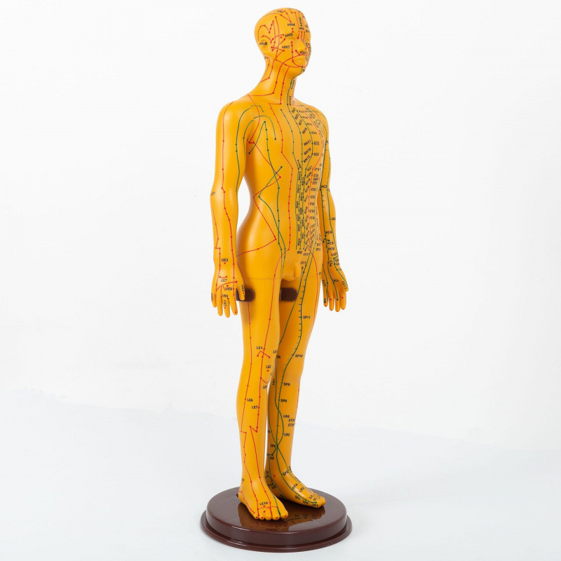 Modello maschile in bronzo, tipo rigido