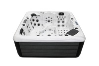 113 jets 5 personnes acrylique Spa bain à remous Massage piscine natation Spa bains extérieur bain à remous