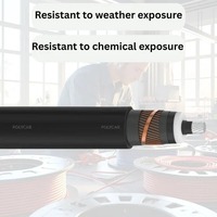 Cable de Media Tensión MVSCALXLPEASNZS de 3.8KV de Exportador Indio, Cable de Energía Confiable para Uso Industrial e Infraestructural en Venta