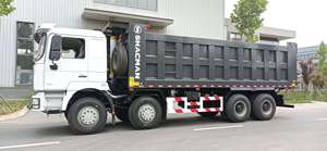 รถบรรทุกดั๊มพ์ Shacman 8x4 12 ล้อ 451-500 แรงม้า ดีเซล สำหรับงานหนัก ขนส่งวิศวกรรม - Product Image 4