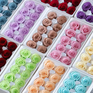 Rosas Preservadas al Por Mayor, 4-5cm, Grado B, Cabezas de Rosa Naturales Reales para Decoración de Bodas, Celebración del Día de San Valentín - Product Image 3