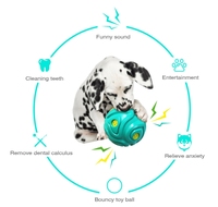 Jouet interactif de mouvement d'animal familier de boule en caoutchouc du bruit élastique TPR de conception simple pour des chiens