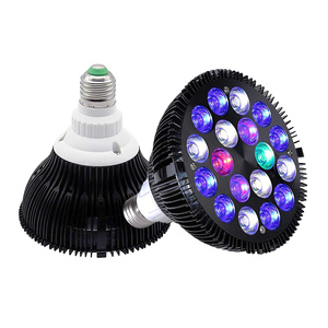 Arowana Tanning Lights - Brighten Your Aquarium Efficiently