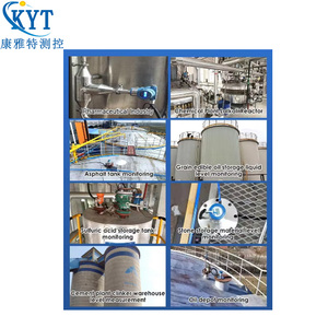 专业型法兰式音叉密度计——石化行业专用 - Product Image 4