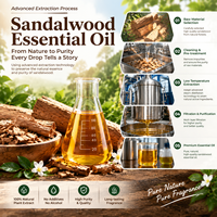 Huile Essentielle de Bois de Santal Indien 100% Naturelle et Biologique, Prix de Gros, Parfum Frais, Huile de Parfum pour Soins Corporels, OEM, FDS