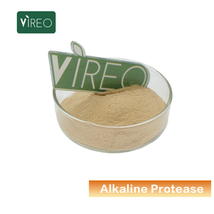 Enzima Protease Alcalina, Suplementos de Saúde com Protease Básica - Product Image 2