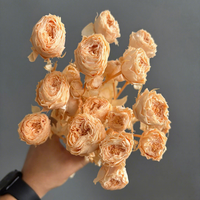 Buket Mawar Mentha Awet Dua Kepala - Bunga Abadi untuk Hadiah Hari Valentine & Ulang Tahun
