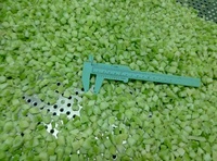 Cebolla Picada Congelada, Proceso de Congelación IQF, Grado A, Exportación a Granel